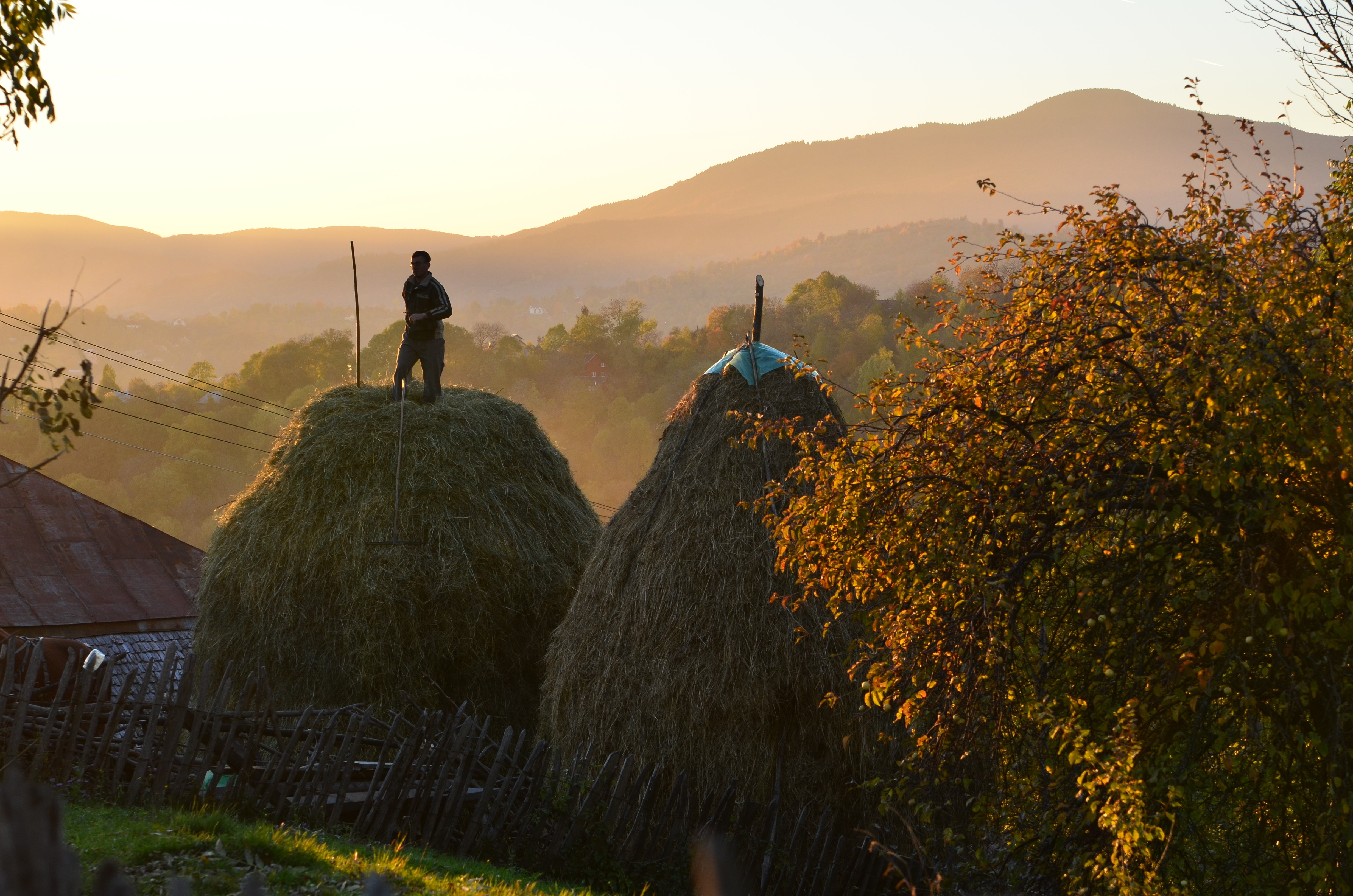 Comarnic, Prahova – poarta către munți, aventură și peisaje de vis. Ce poți vizita în zonă