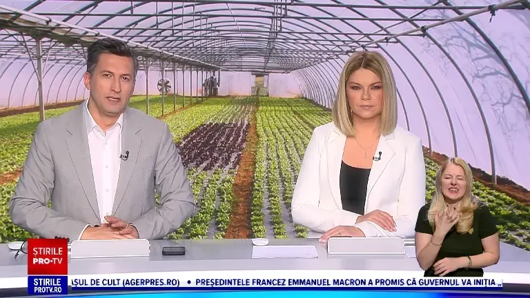 Gerul năprasnic întârzie recoltele în solarii. Legumele care ar putea să aibă prețuri mai mari