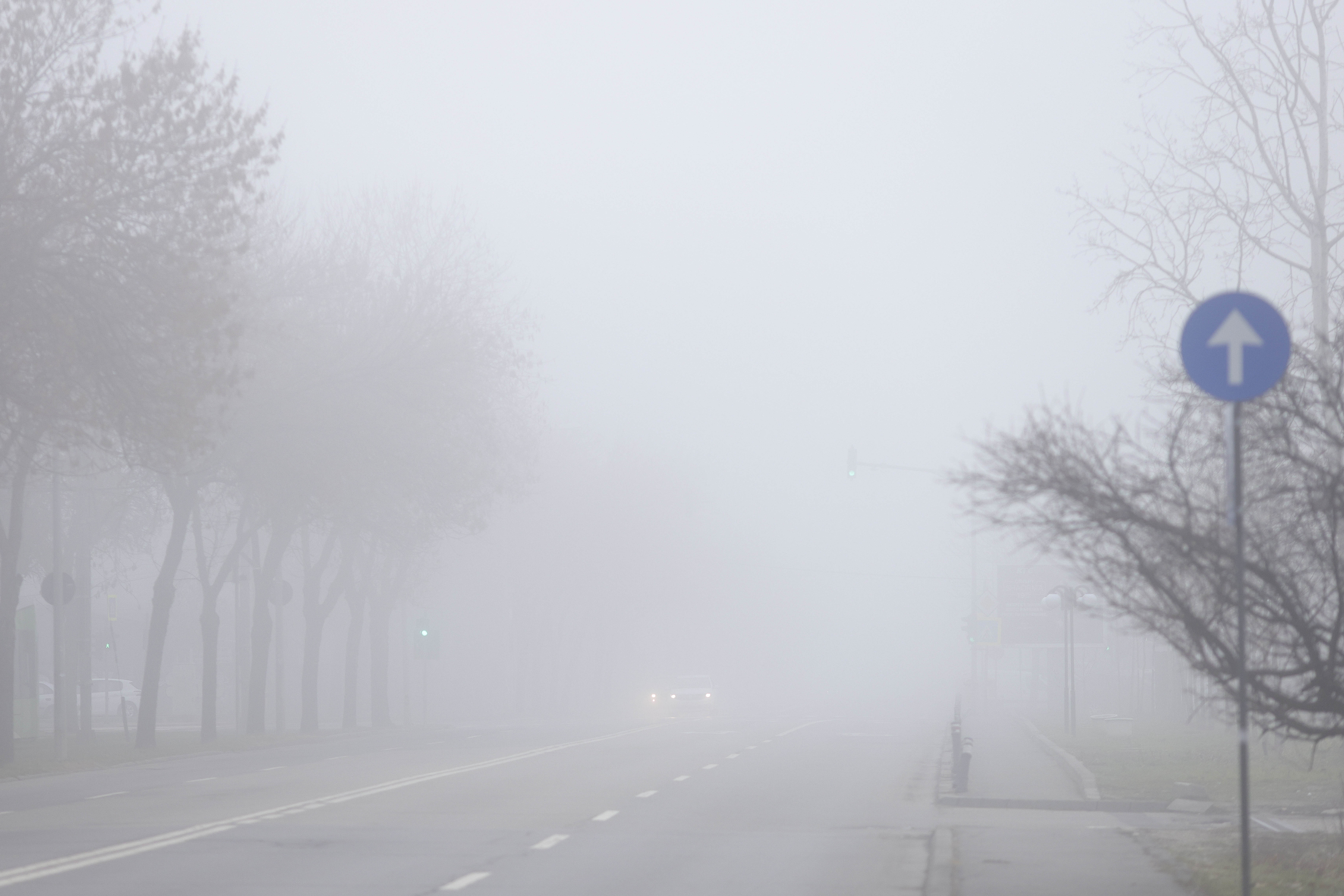 Ceață densă &icirc;n București și 15 județe. Vizibilitatea este sub 50 de metri &icirc;n unele zone