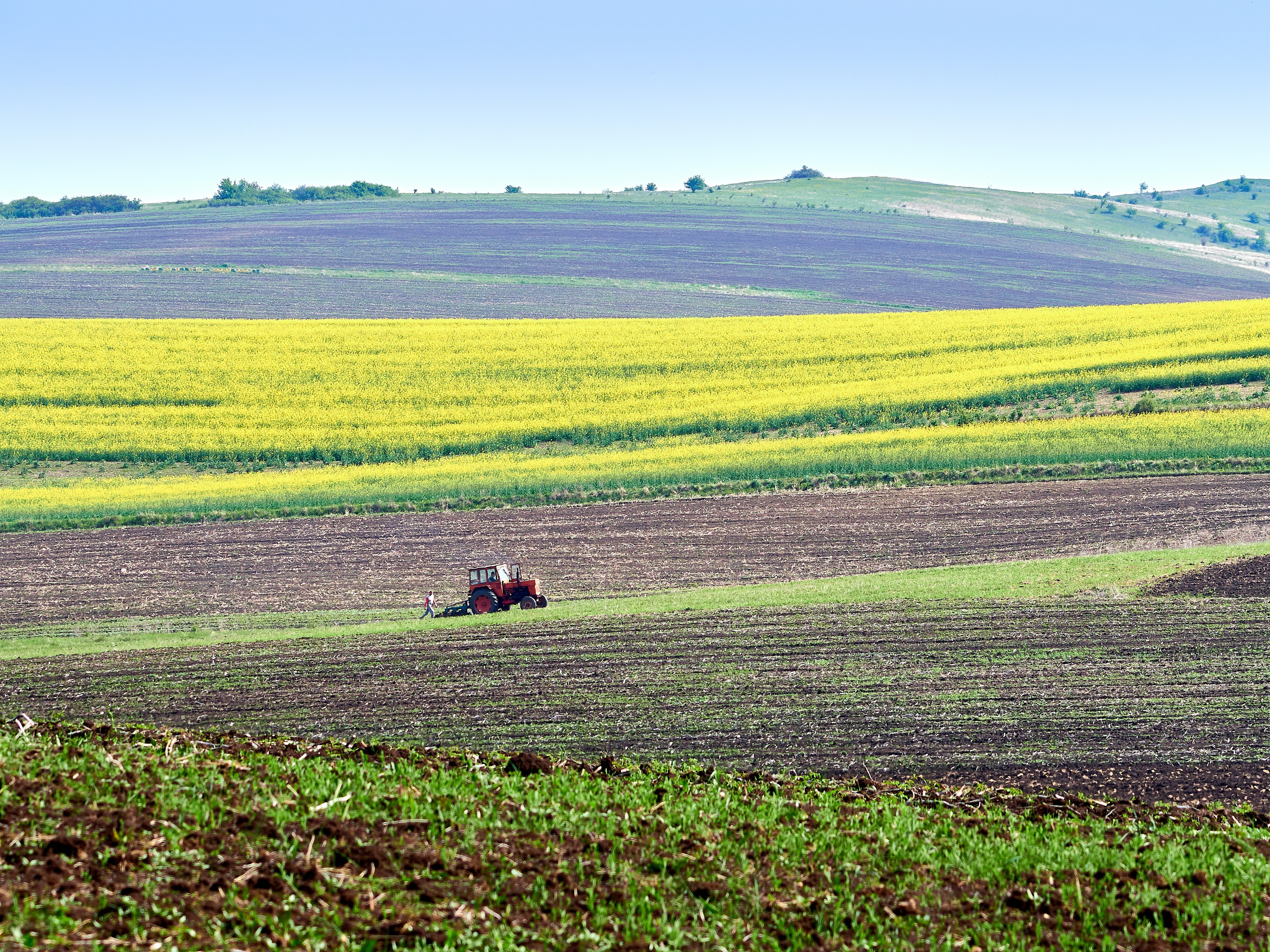 C&acirc;t costă terenul agricol &icirc;n Rom&acirc;nia. Hectarul este, &icirc;n medie, aproape la jumătate față de media UE