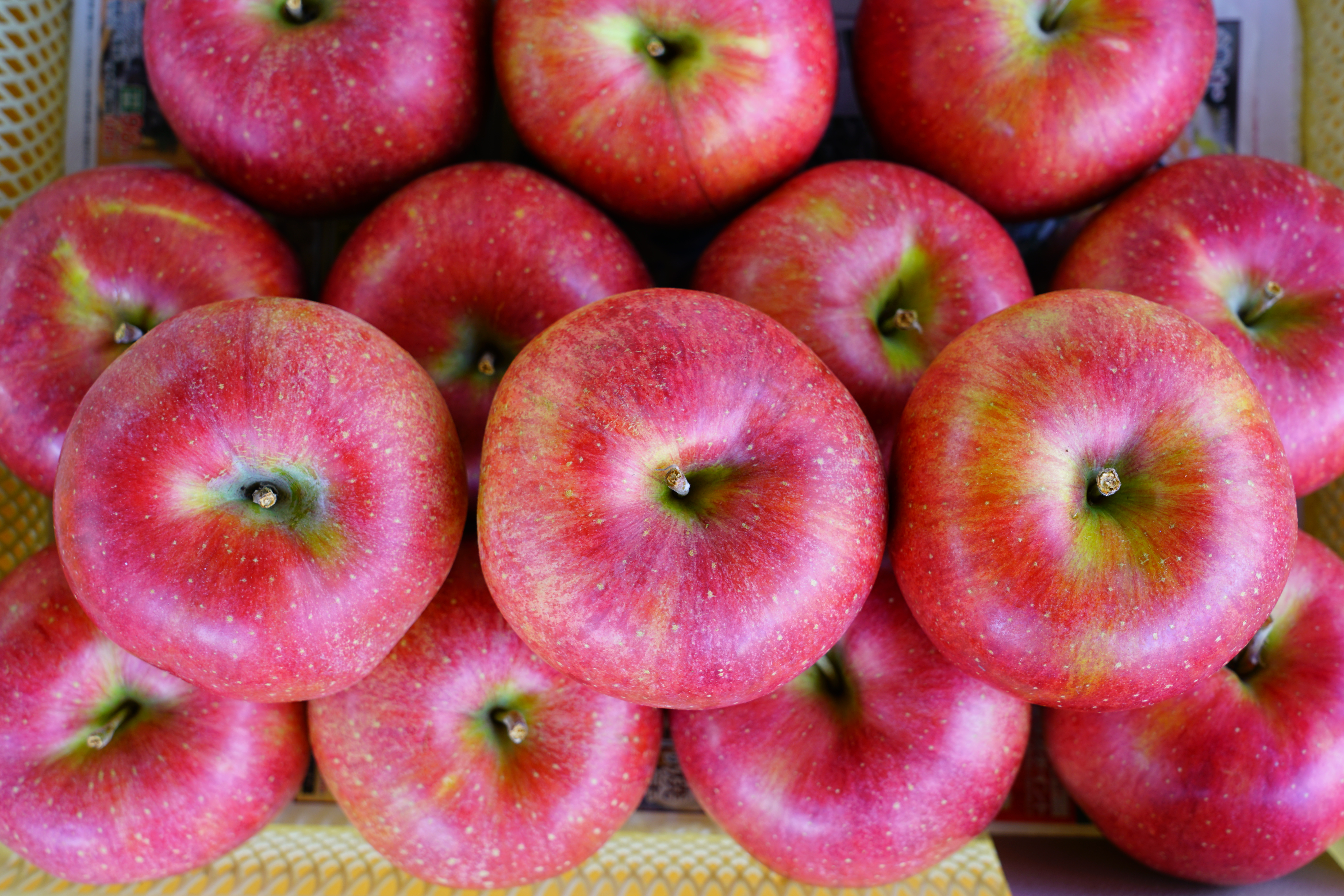 Avertismentul unor ONG-uri: „Cocteiluri de pesticide” toxice au fost găsite în merele din mai multe state din Europa