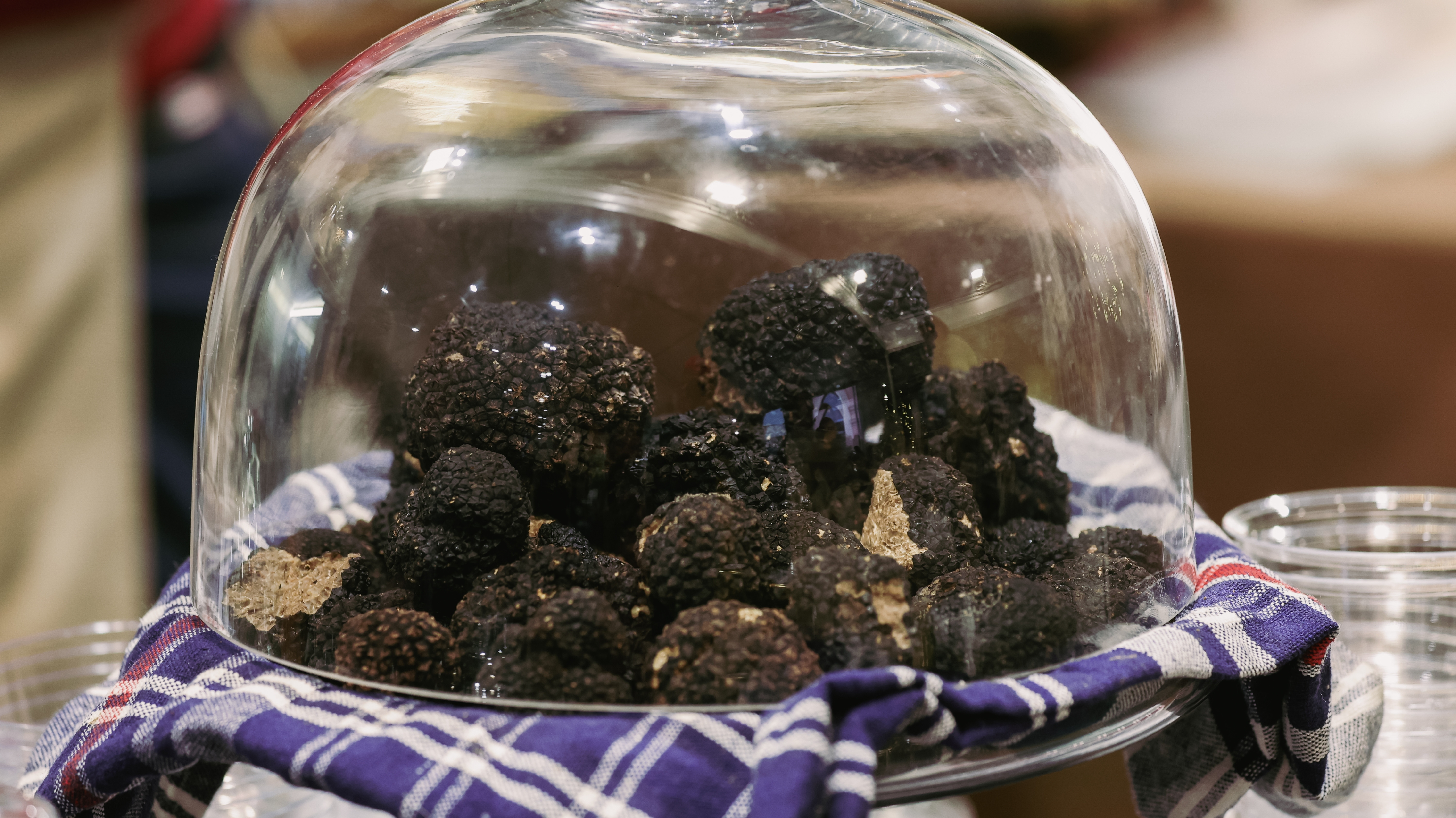 Locul desemnat capitala europeană a trufelor. A primit titlul de Oraș Gastronomic UNESCO. De ce merită vizitat