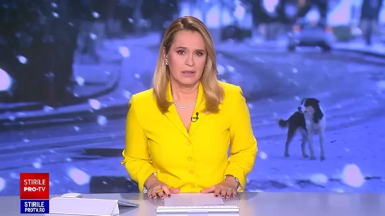 Ce trebuie să faci pentru a-ți proteja „pufoșenia” de gerul de afară. Apel de la autorități pentru românii cu căței la țară