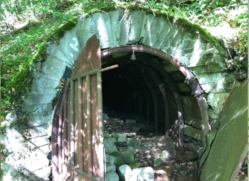 O companie canadiană anunță că a descoperit mari zăcăminte de aur și uraniu &icirc;n Bihor