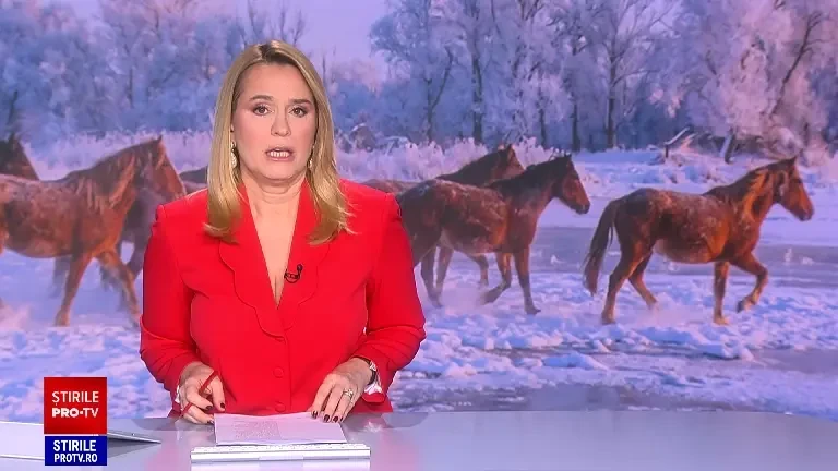 Situație dramatică în Delta Dunării. Zeci de cai sălbatici, găsiți morți din cauza gerului și a lipsei de hrană și de apă