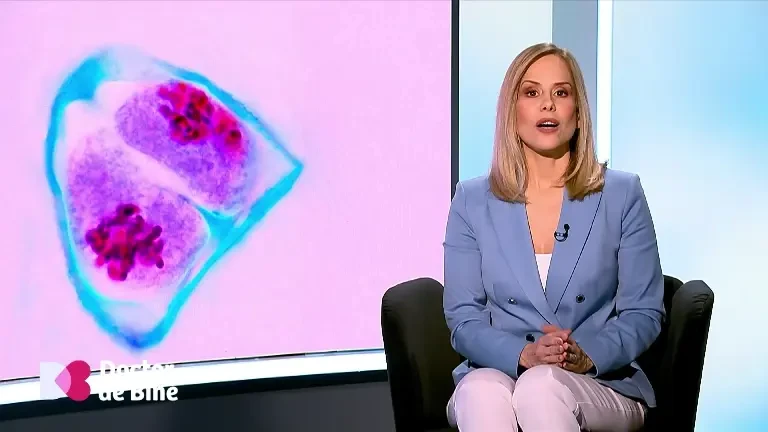 Vaccinarea antigripală este esențială pentru prevenția bolilor cardiovasculare. Explicațiile medicilor