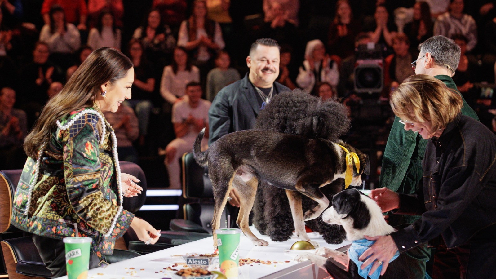 Numărul care a ridicat sala în picioare la „Românii au talent”. Momentul a primit Golden Buzz | VIDEO