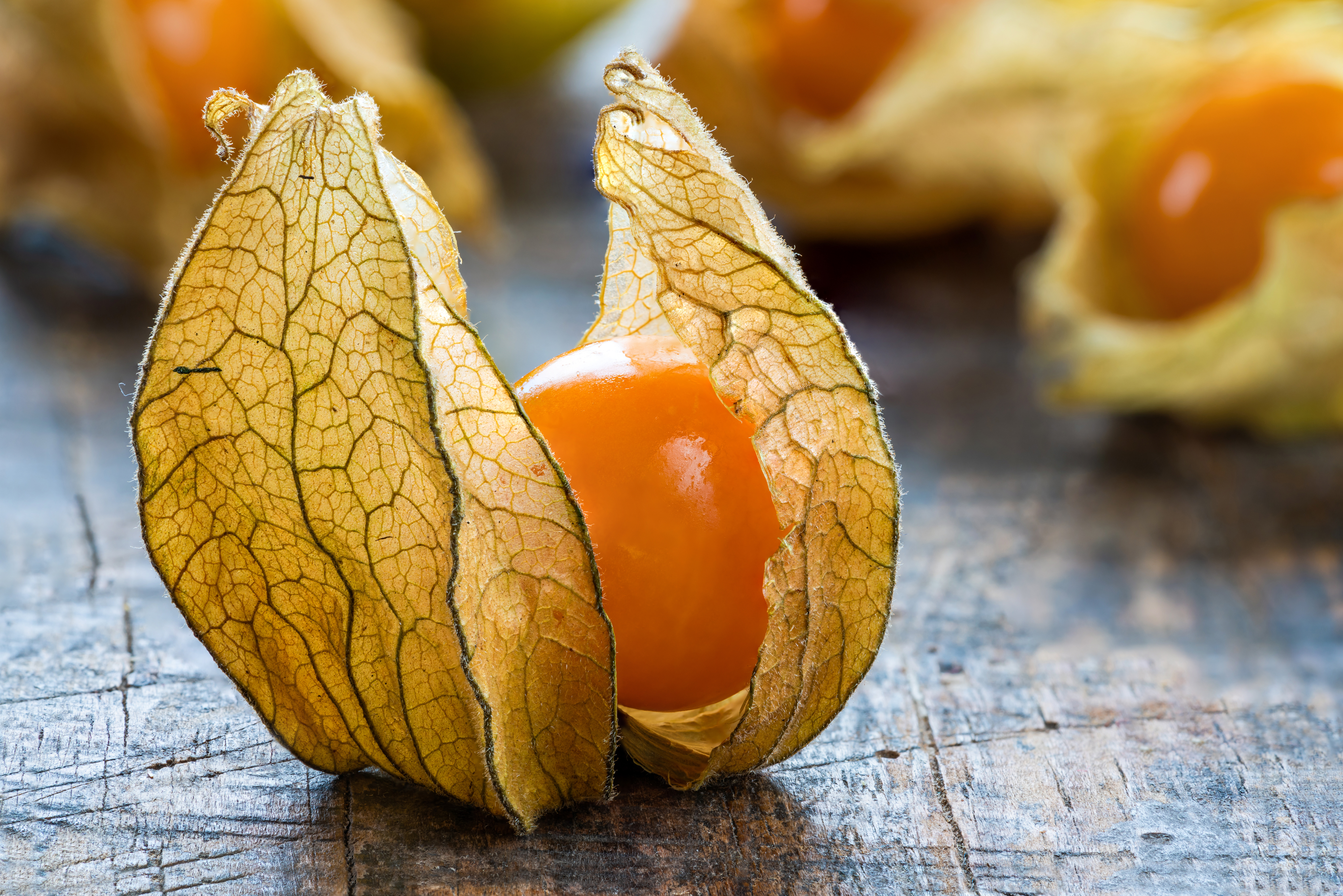 De ce Physalis este fructul preferat al bucătarilor și nutriționiștilor. Ce beneficii pentru sănătate are