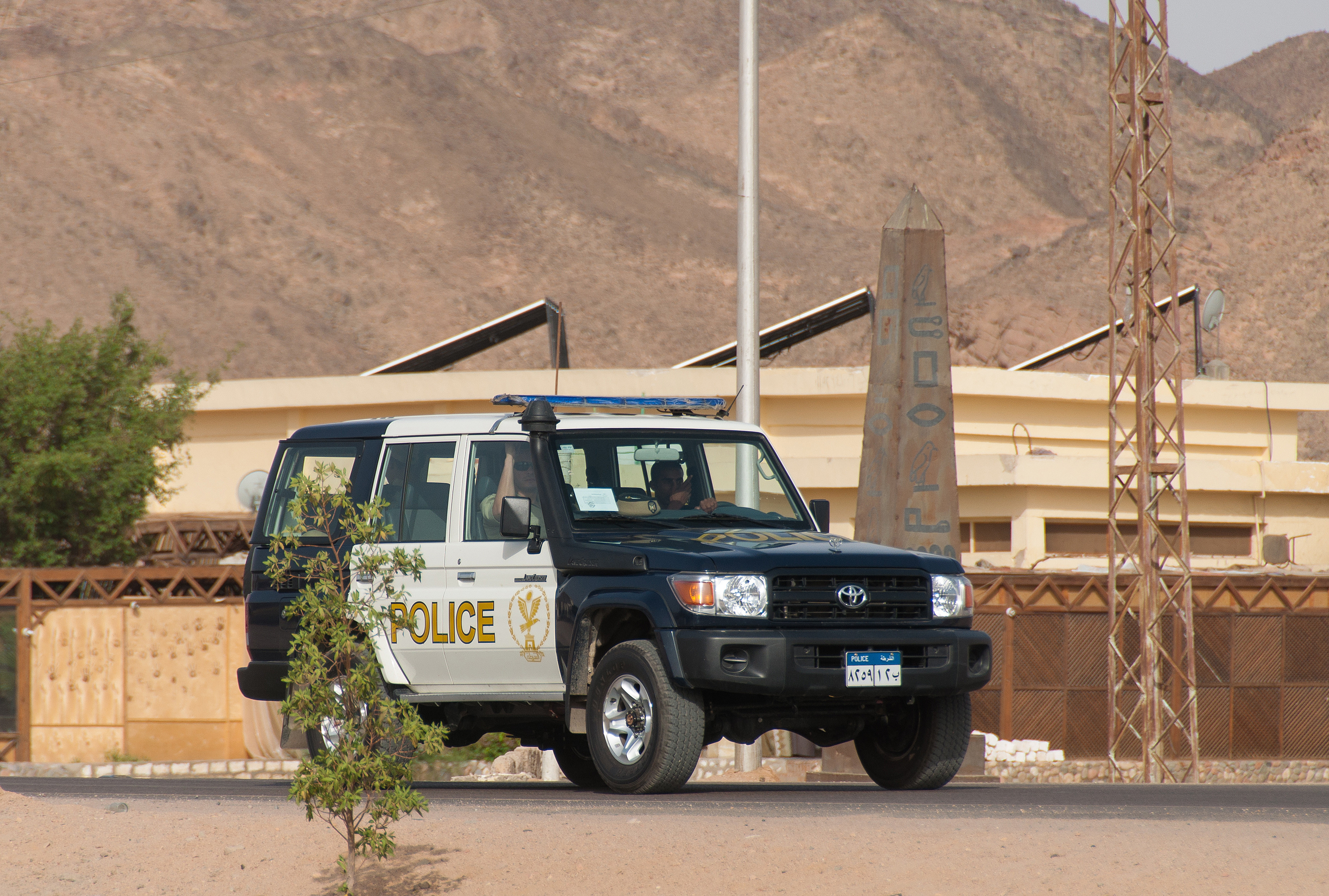 Petrecere &bdquo;Epstein&rdquo; cu intrare gratuită pentru femei, interzisă la Cairo. Organizatorul a fost arestat