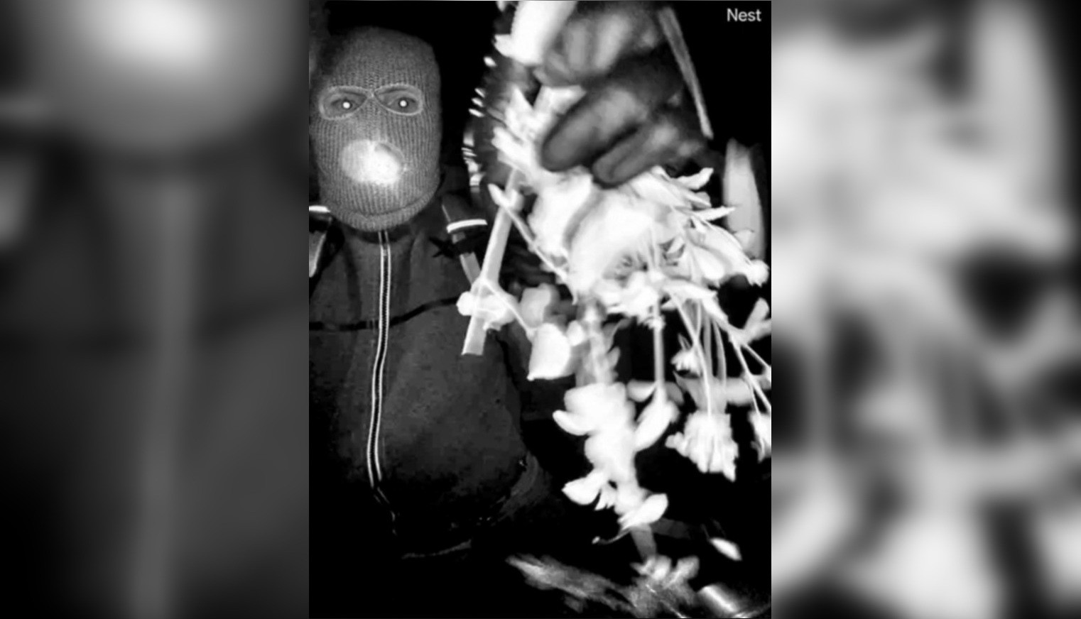 Un suspect, reținut în Arizona în cazul răpirii mamei prezentatoarei americane. FBI a publicat imagini cu un bărbat înarmat