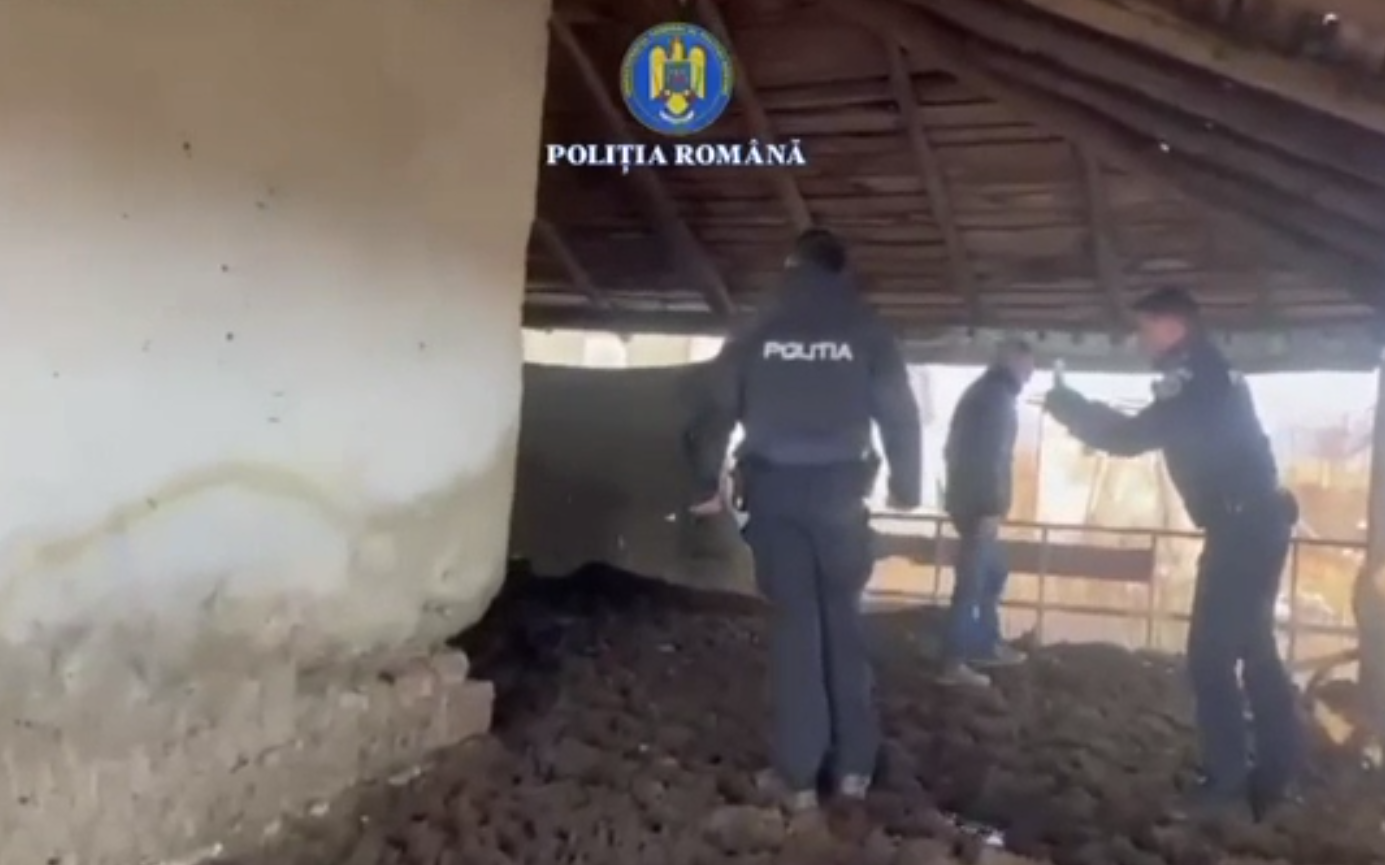 Amenda primită de un bărbat cu o fermă din Prahova, care ținea peste 100 de animale în mizerie