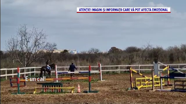 Acuzații grave de violență la Hipodromul din Craiova. Un instructor ar fi lovit caii &icirc;n fața copiilor