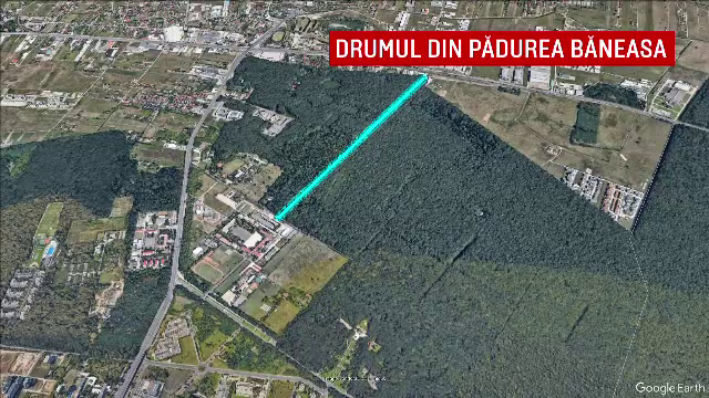 Drumul folosit zilnic de șoferi prin Pădurea Băneasa a fost construit ilegal. Ministerul Mediului cere desființarea lui