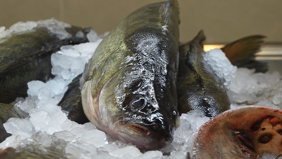 O femeie din Galați a fost reținută după ce a păcălit două bătr&acirc;ne cu pește și carne de pui