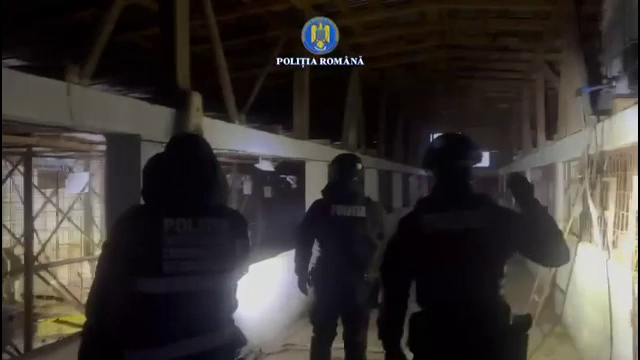 Câini maltratați și uciși la cel mai mare adăpost din Vrancea. Firma anchetată ar fi încasat milioane de lei pentru maidanezi