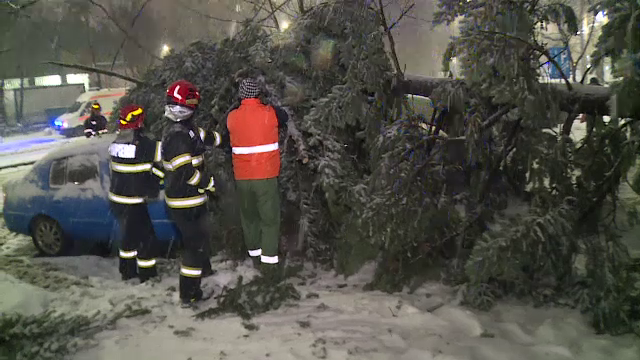 Cod roșu de ninsori abundente în Capitală și în Ilfov: Trafic îngreunat, copaci doborâți de viscol, mașini avariate