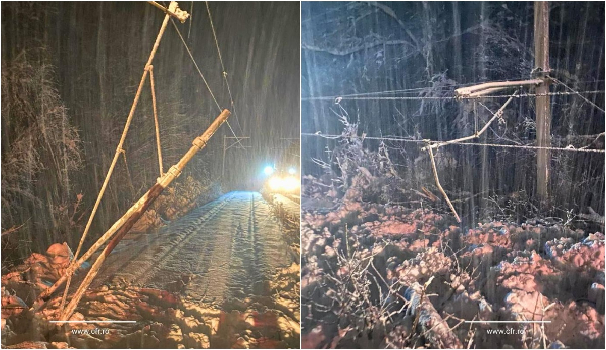 Circulația a 20 de trenuri a fost suspendată din cauza ninsorii și a viscolului. Mai mulți copaci au căzut pe calea ferată
