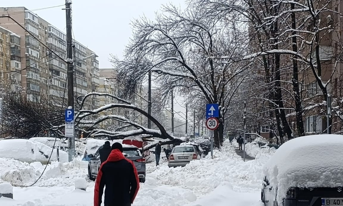 Fată de 16 ani, electrocutată pe trotuar, în București, după ce un copac a căzut peste cabluri. A fost găsită inconștientă