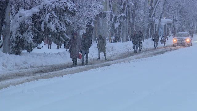 Primarul Capitalei a trimis poliția locală peste operatorii de salubrizare. &bdquo;Nu au mobilizat at&acirc;tea utilaje cate au spus&rdquo;