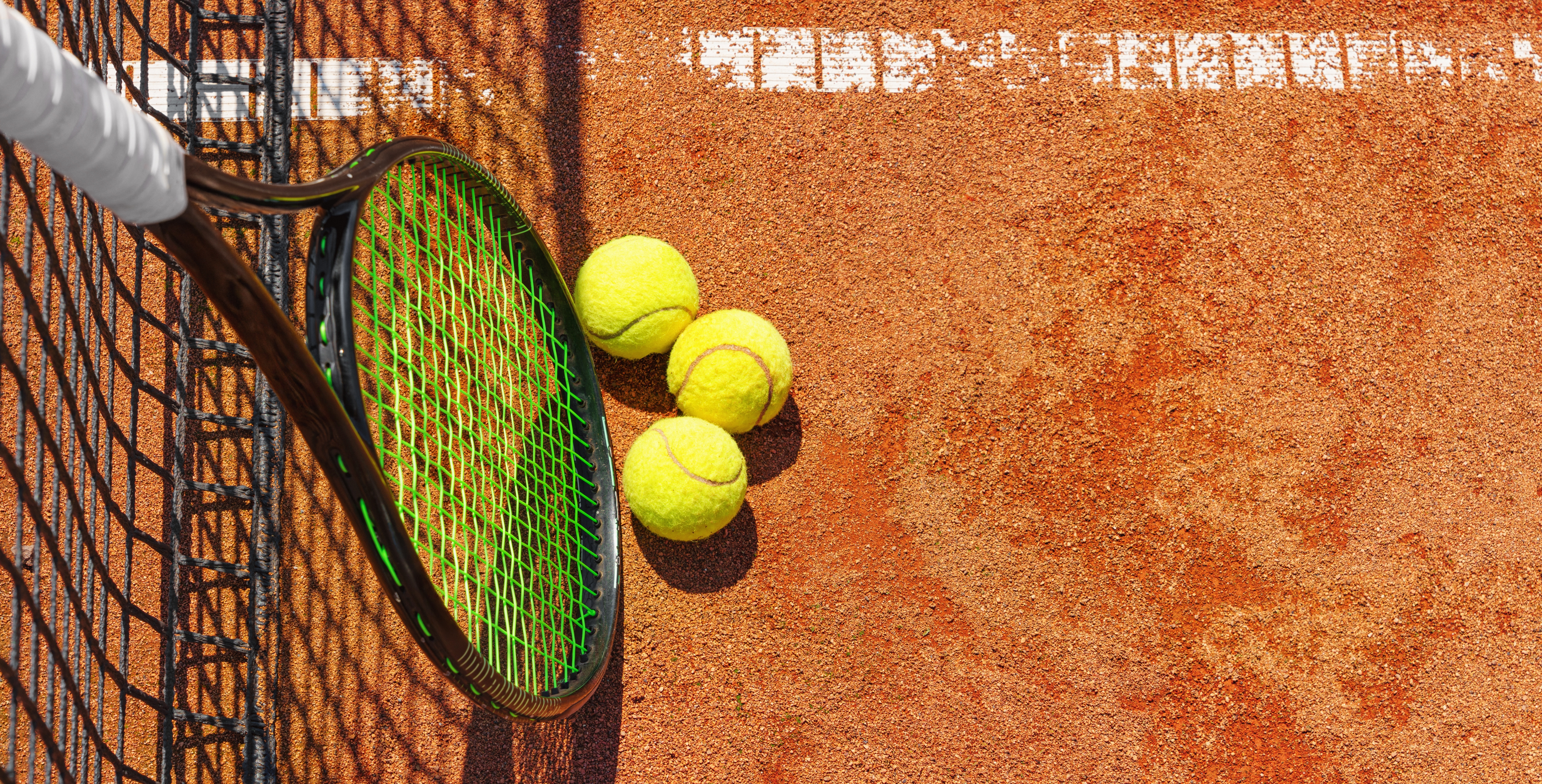 Un meci de tenis a fost suspendat temporar la turneul ITF din Bengaluru, după ce un roi de albine a invadat terenul. VIDEO
