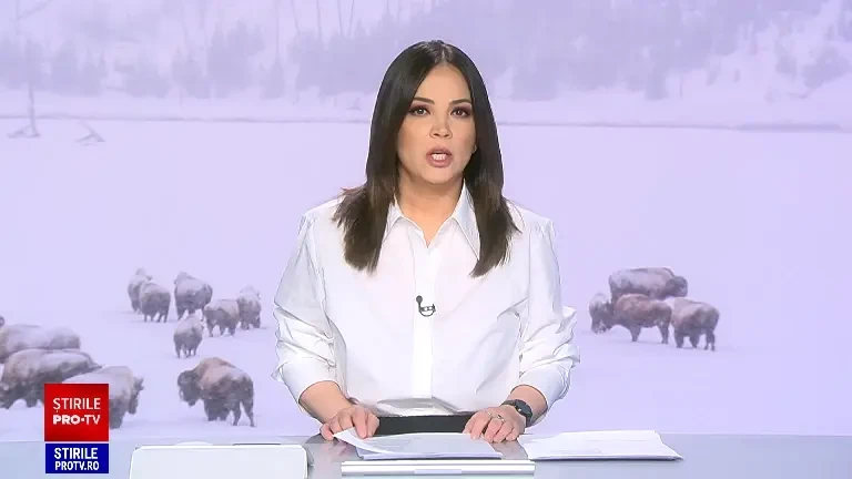 Caz îngrozitor în Cluj. Peste 200 de bizoni și cerbi, lăsați să moară de foame. Autoritățile știau, dar n-au mișcat un deget