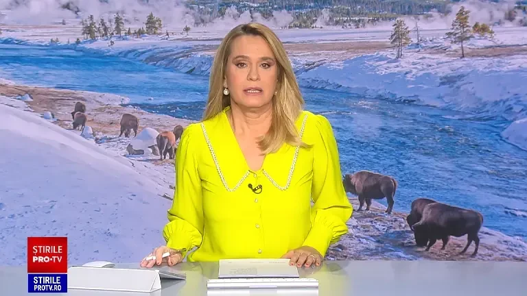 Ferma de bizoni din Cluj unde sute de animale au murit de foame, ignorată de autorități.