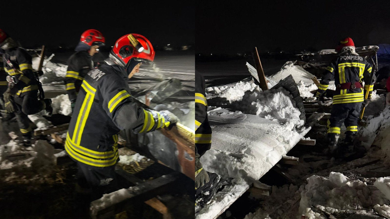 Un saivan s-a prăbușit peste 400 de animale, &icirc;n județul Prahova. Zeci de oi și capre au murit