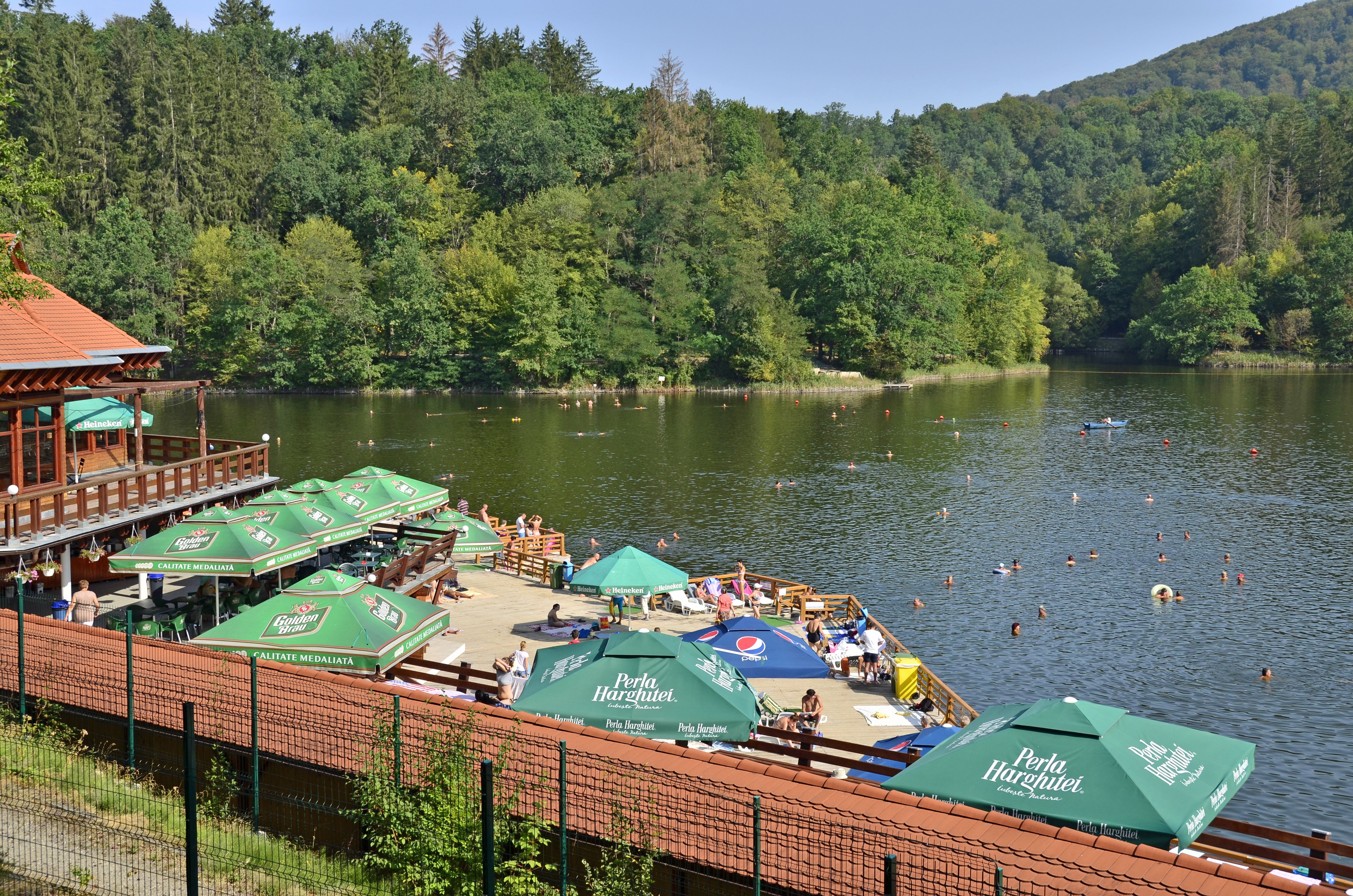 Ungurii acuză Rom&acirc;nia că a naționalizat păduri din Ținutul Secuiesc