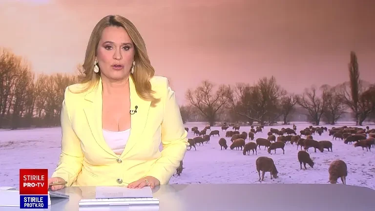 Înainte de Paște, fermierii se plâng deja că furajele scumpe și vremea capricioasă din 2025 au afectat afacerile cu miei