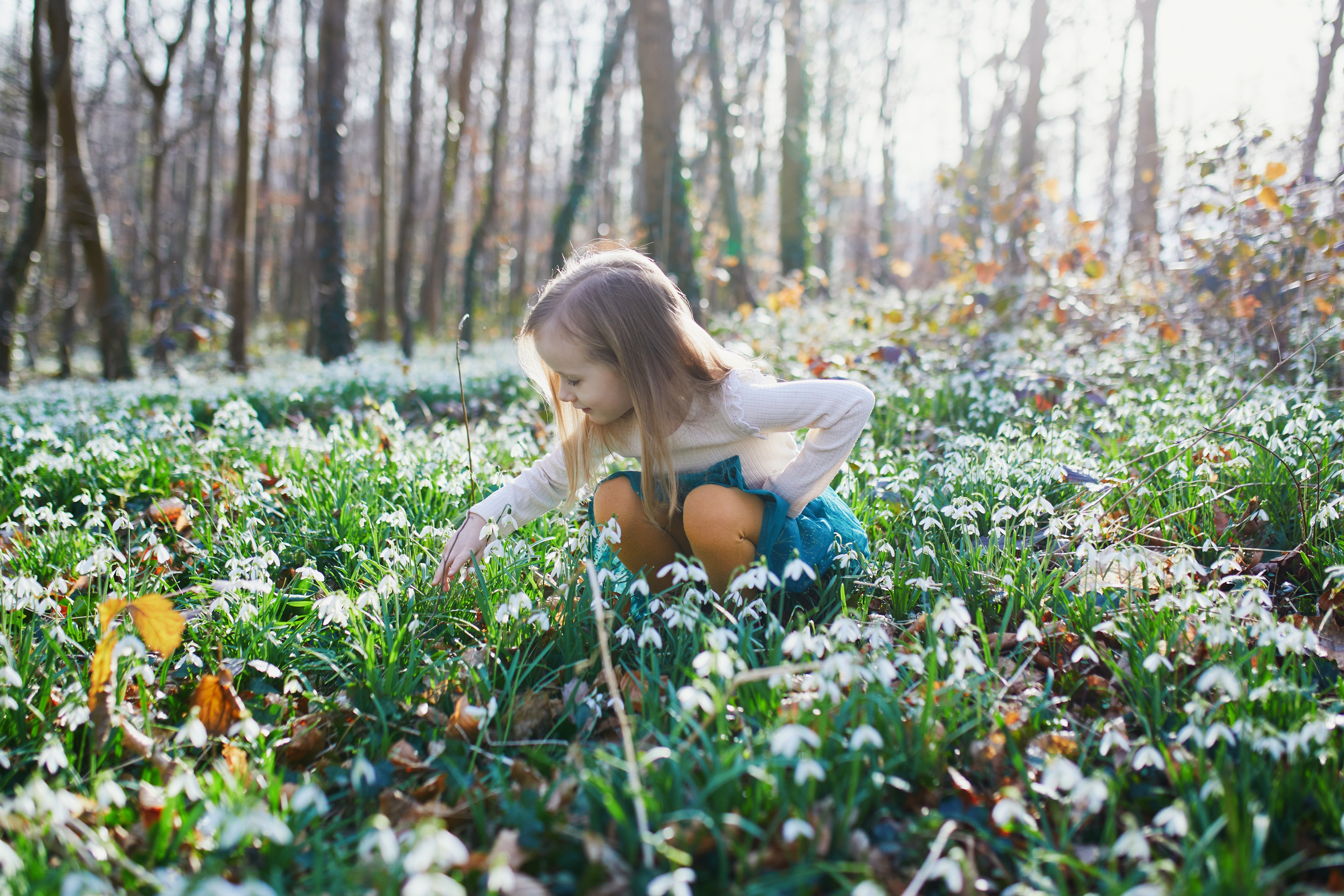 Cum va fi vremea la &icirc;nceputul primăverii calendaristice: Prognoza meteo pentru luna martie 2026 &icirc;n Rom&acirc;nia
