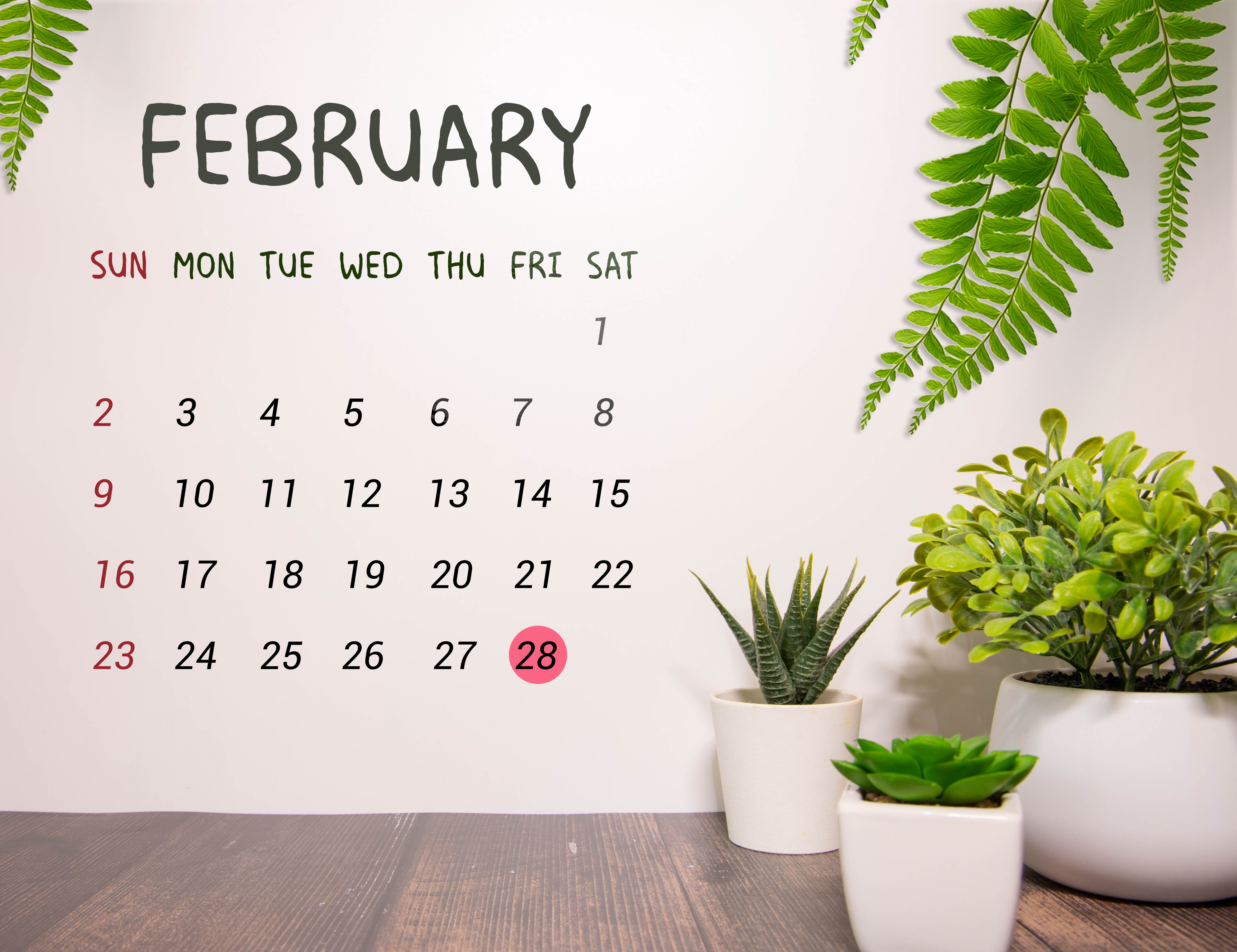 De ce luna februarie are doar 28 de zile. Originea calendarului și explicația anului bisect