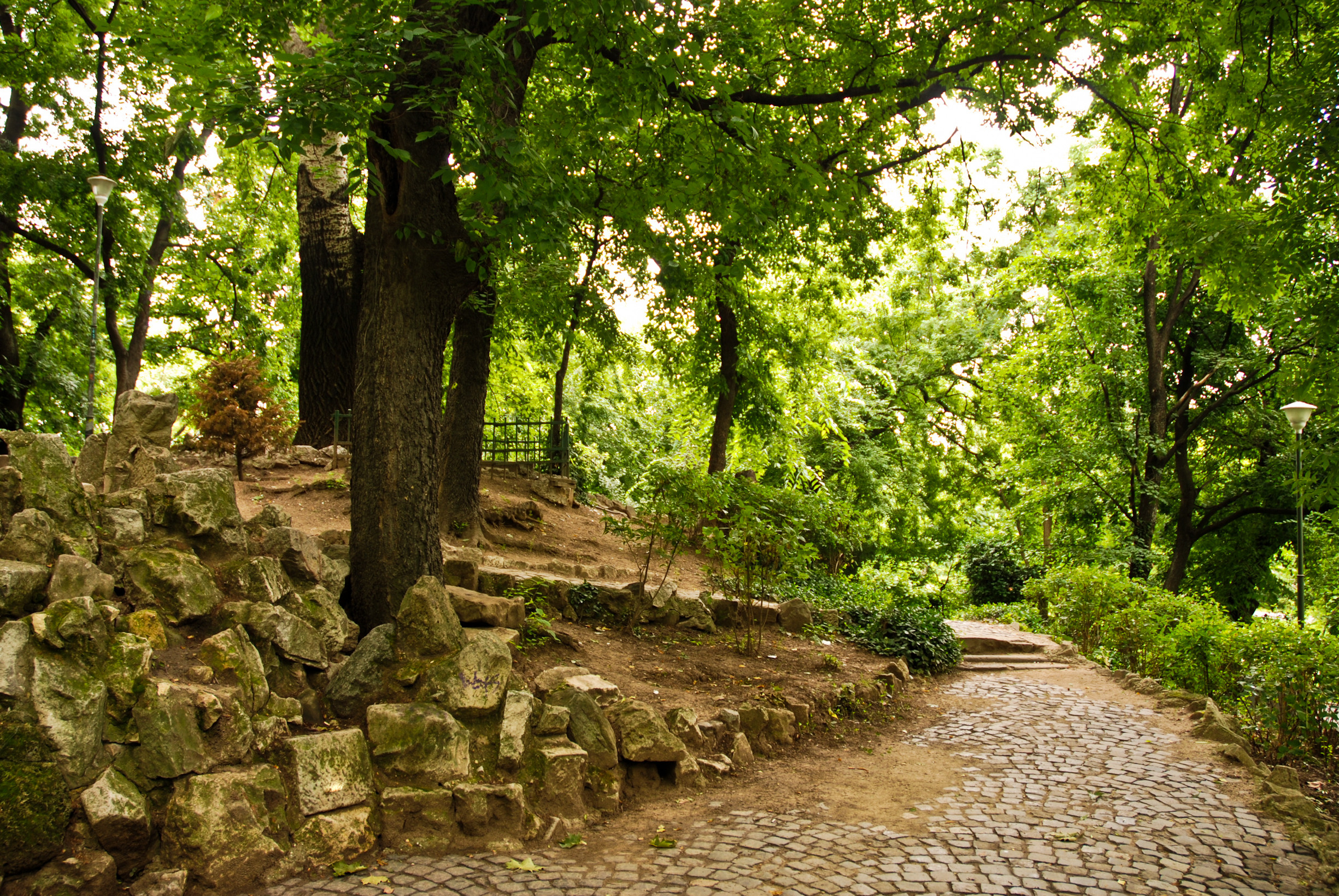 Locul din București unde uiți că ești în oraș. Găsești palmieri, orhidee și o grădină japoneză pentru un bilet de doar 15 lei