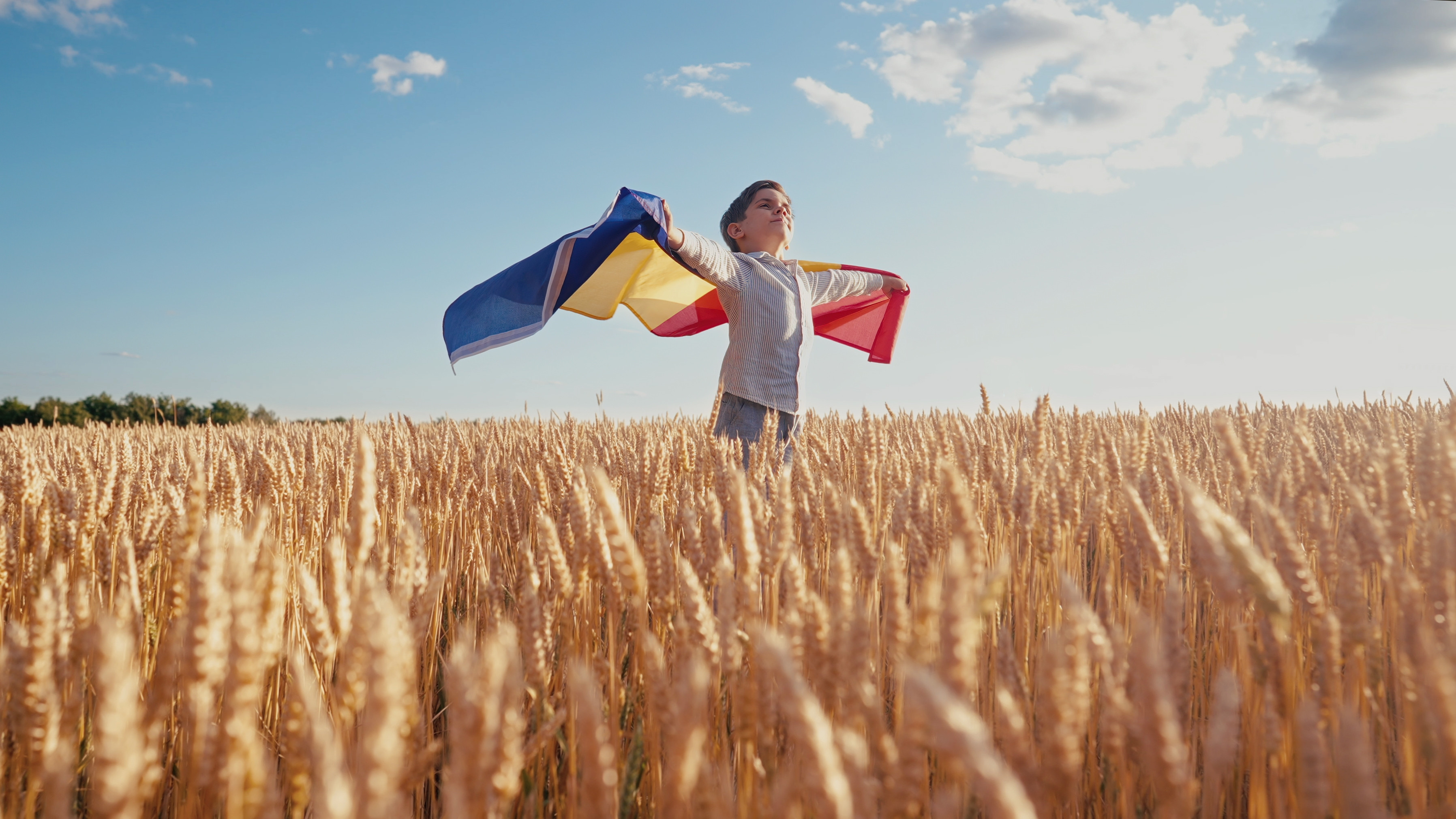 Ministrul Agriculturii: &rdquo;Rom&acirc;nia a devenit gr&acirc;narul Europei, așa cum a fost&rdquo;. &Icirc;ncă un hop și &rdquo;nimeni nu ne mai poate bate&rdquo;