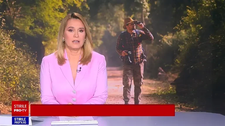 Studiu: Observarea și recunoașterea păsărilor în natură ne-ar putea antrena creierul pentru o mai bună funcționare la bătrânețe