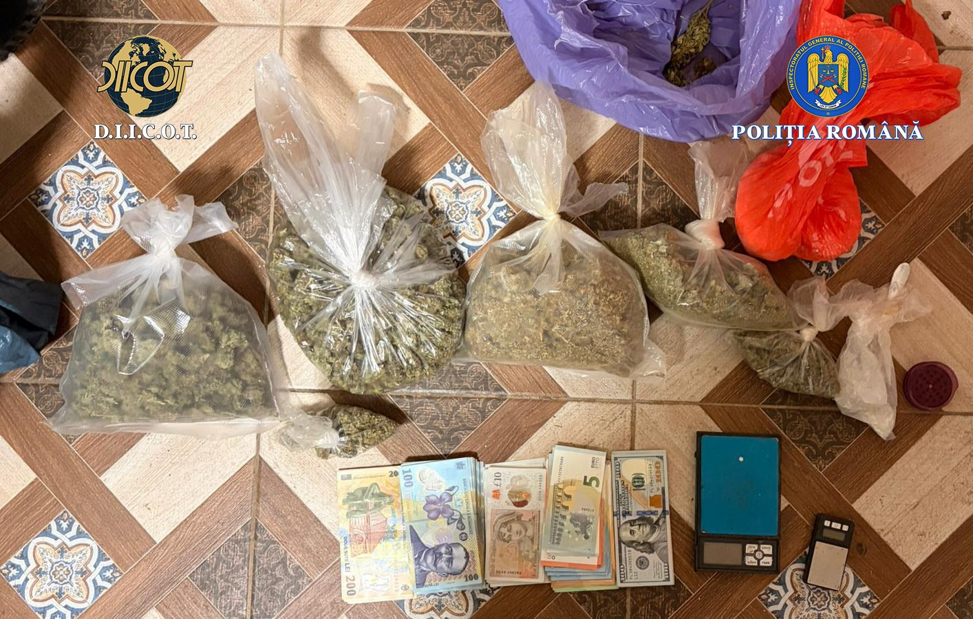 Primele rețineri în ancheta drogurilor din cazul crimei de la Cenei. Ce au descoperit polițiștii și procurorii DIICOT