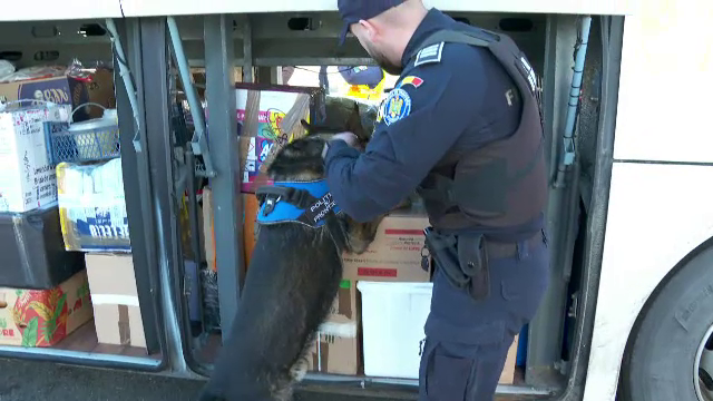 Modul de operare al migranților s-a schimbat după aderarea României la Schengen: Mulți au fost identificați ca pasageri