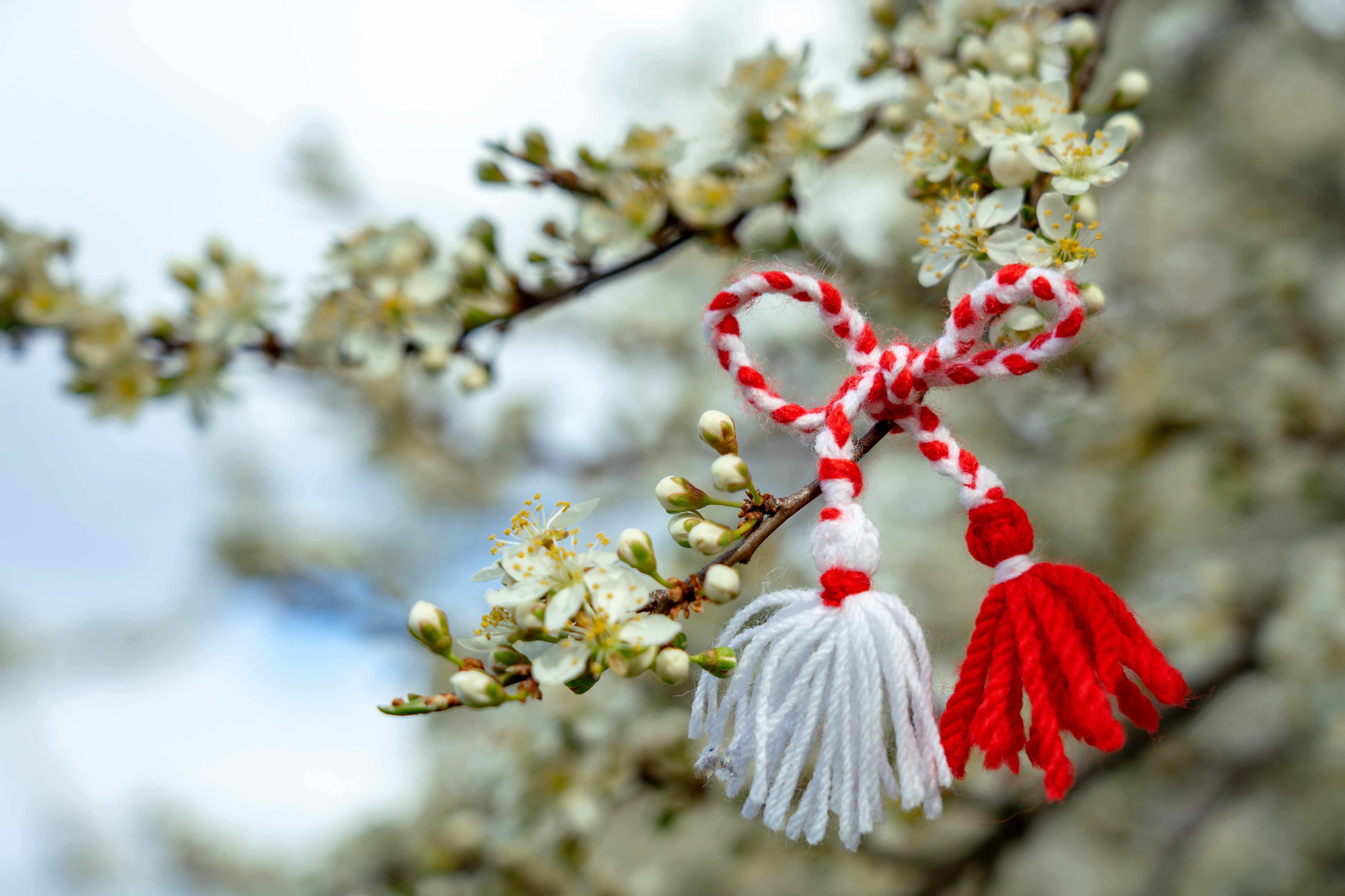 Semnificația Mărțișorului – tradiții și obiceiuri românești. Zonele din țară în care fetele oferă mărțișoare băieților