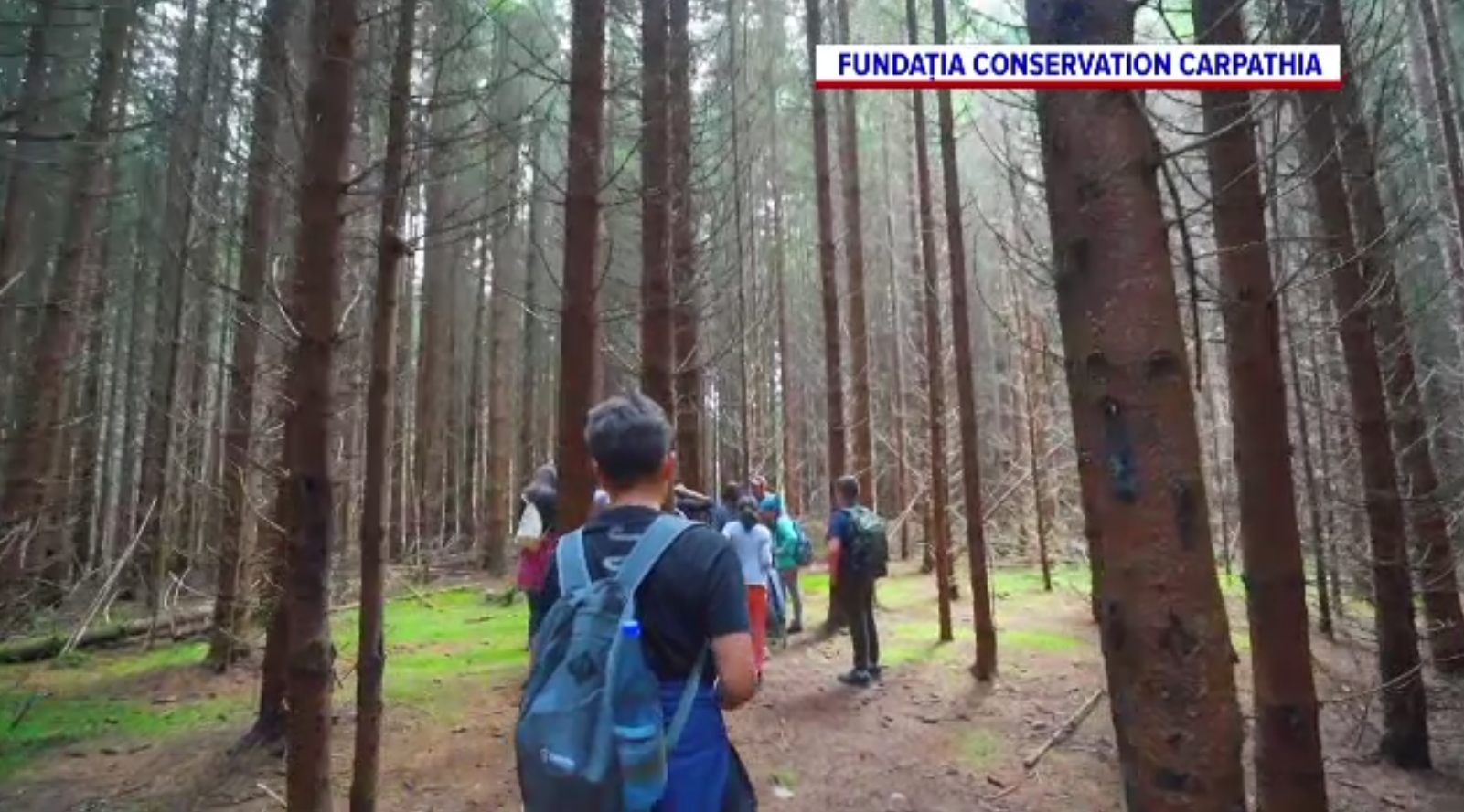 De la școală la sălbăticie: Tabere și cursuri în aer liber pentru protejarea naturii, susținute prin finanțare publică