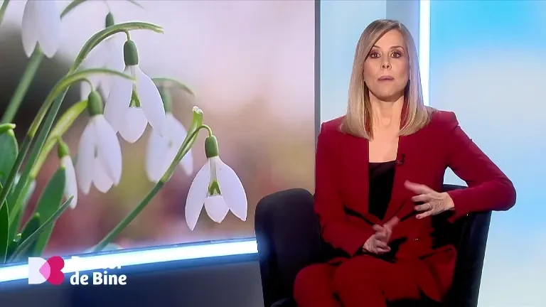 Parfumurile de cameră sau mașină pot fi un adevărat pericol. Avertismentul mediclor despre poluarea din interior