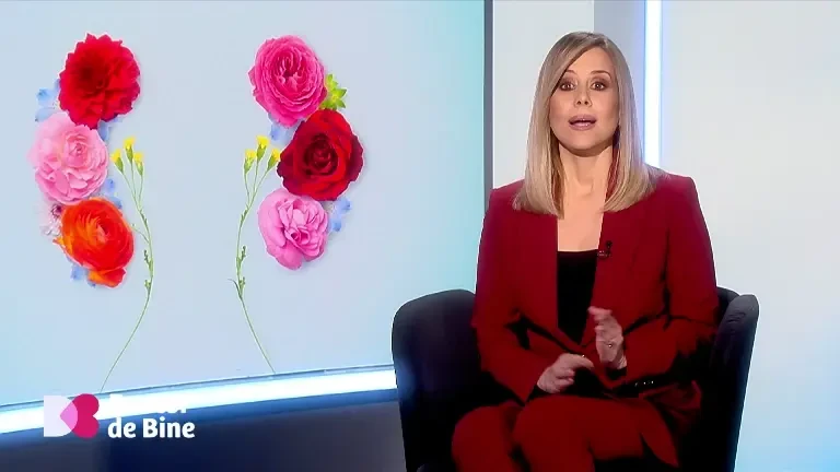 Legătura dintre grăsimea abdominală și rinichi. Care este momentul în care kilogramele în plus ne afectează funcțiile renale