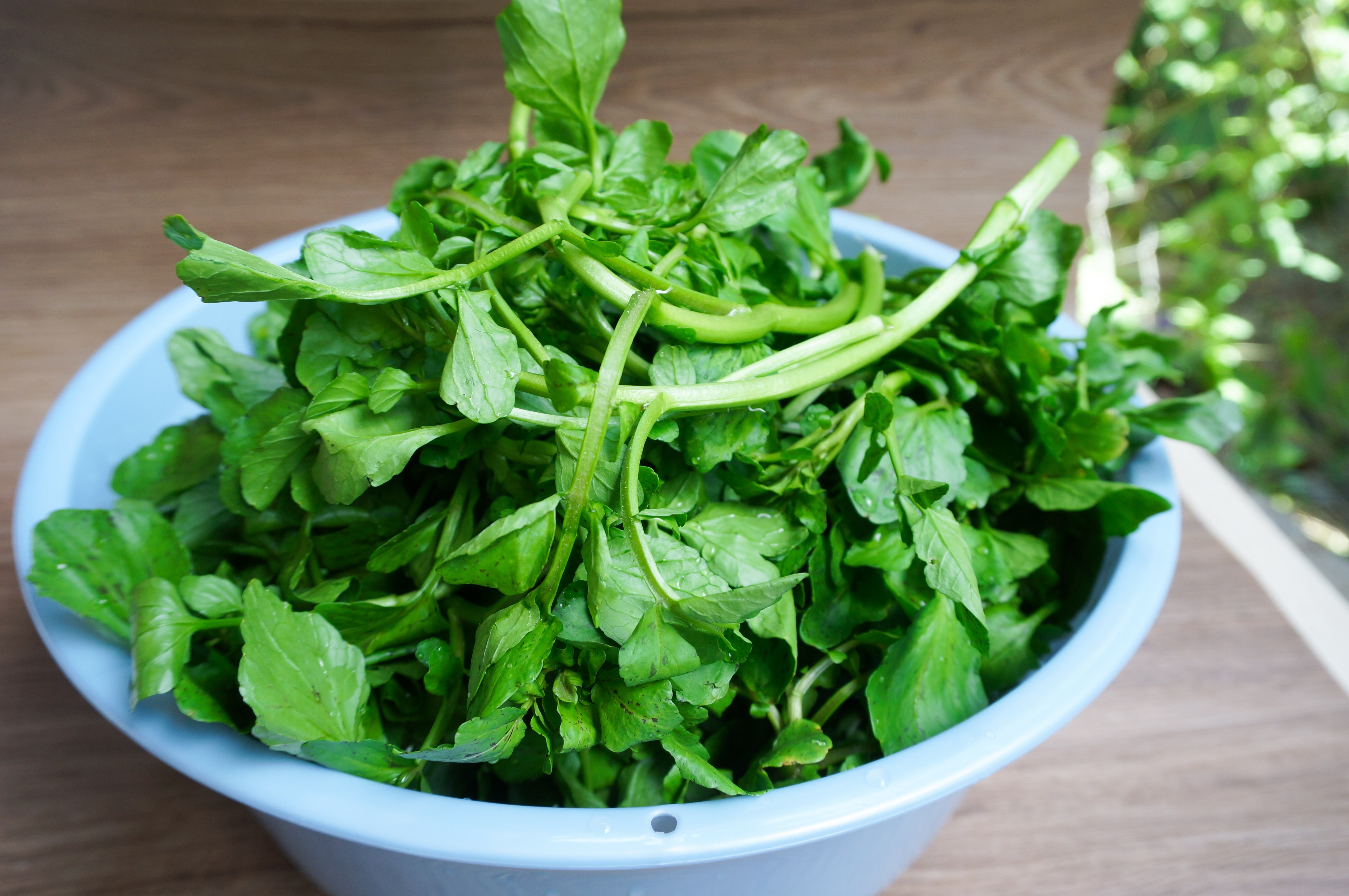 Năsturelul, planta cu beneficii mari pentru sănătate. Cum poate fi introdus în alimentație