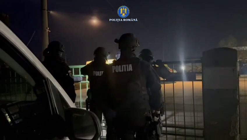 Percheziţii &icirc;n patru judeţe, inclusiv la primării, &icirc;n legătură cu eutanasierea ilegală a c&acirc;inilor fără stăp&acirc;n. VIDEO