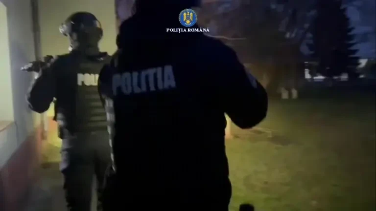 Percheziţii în patru judeţe, inclusiv la primării, în legătură cu eutanasierea ilegală a câinilor fără stăpân. VIDEO