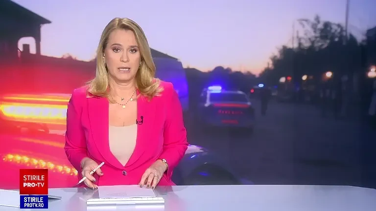 Percheziţii în patru judeţe, inclusiv la primării, în legătură cu eutanasierea ilegală a câinilor fără stăpân. VIDEO