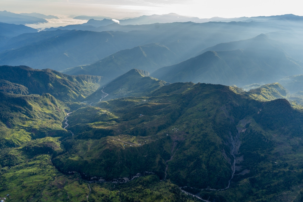 „Descoperire remarcabilă”. Două specii dispărute de 6.000 de ani, regăsite în pădurile izolate din Papua de Vest. FOTO