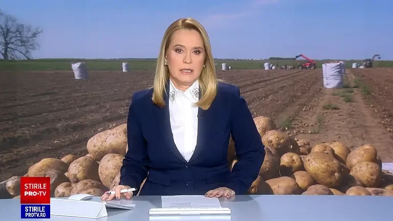 Cartofii românești tot mai puțini. Suprafața cultivată scade, iar producția abia acoperă jumătate din consum