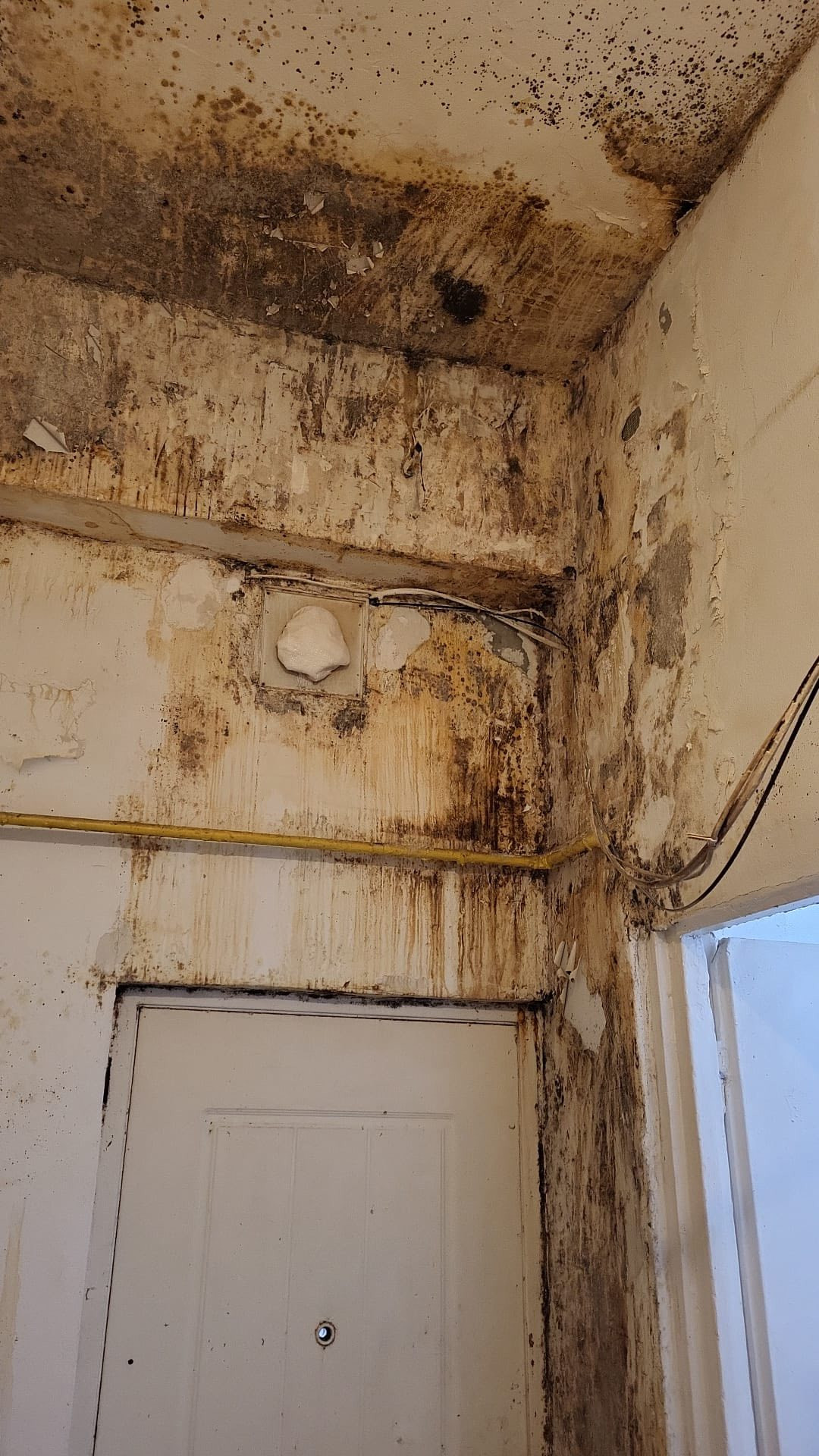 Mucegai, alimente expirate și spații insalubre descoperite &icirc;n controale ANPC. Zeci de firme, &icirc;nchise temporar