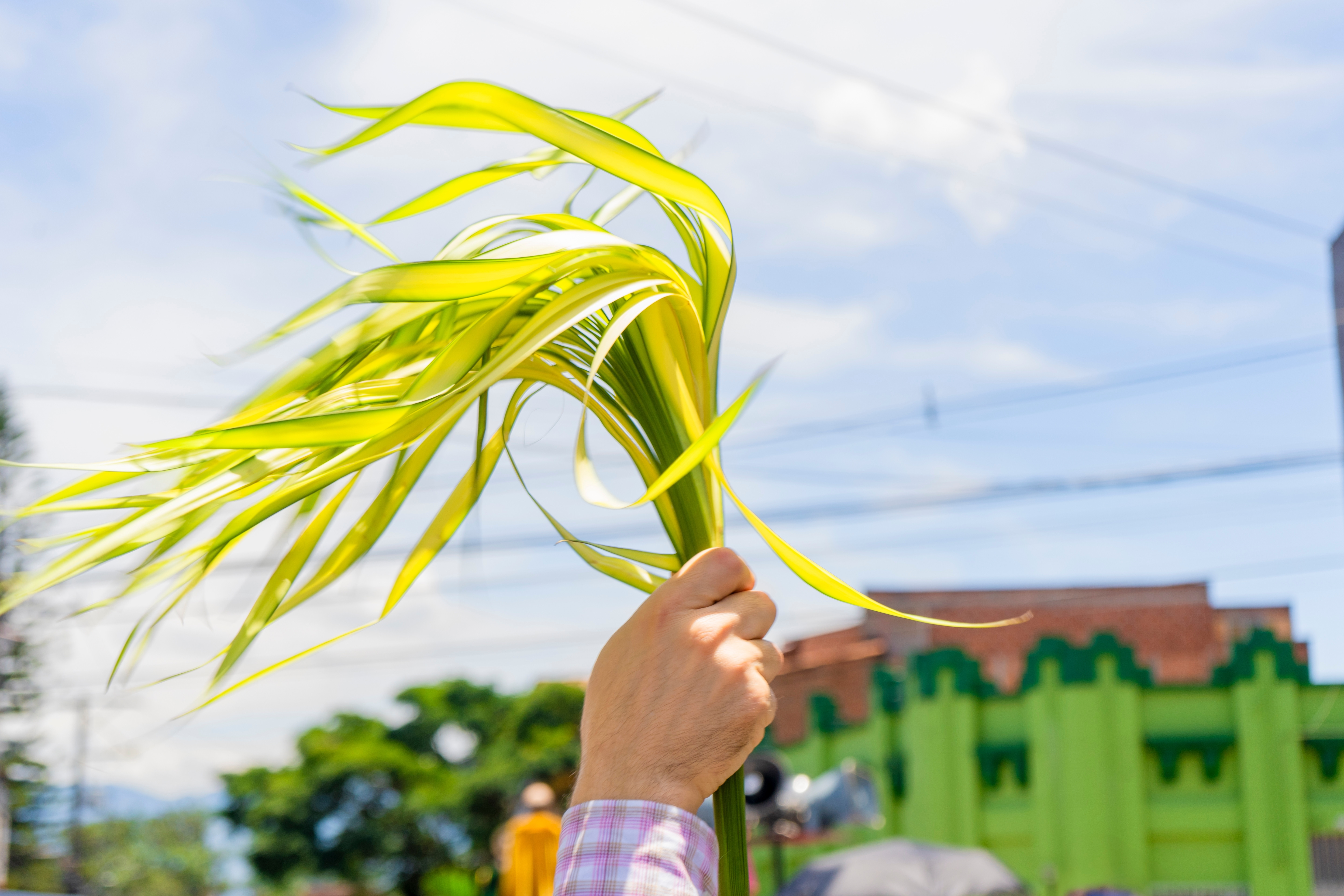 Când sunt Floriile în 2026. Tradiții și obiceiuri pe care trebuie să le respecți pentru sănătate și noroc