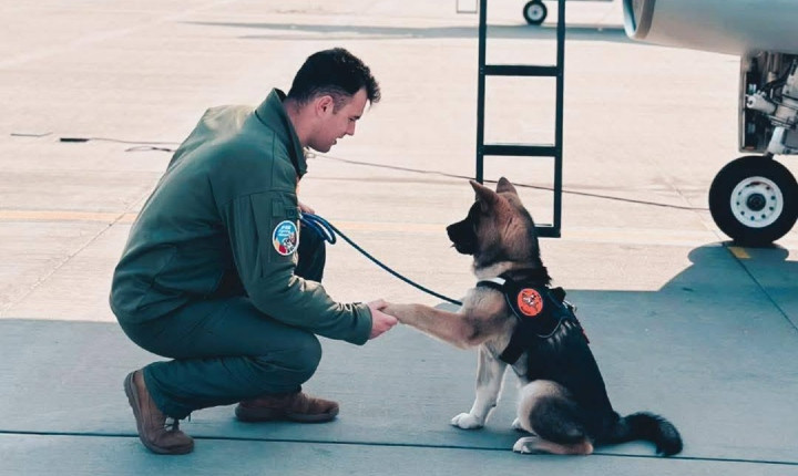 Un militar de 30 de ani a murit după ce a &icirc;ncercat să salveze un c&acirc;ine căzut &icirc;ntr-un bazin cu apă, la Baza 86 Aeriană Borcea