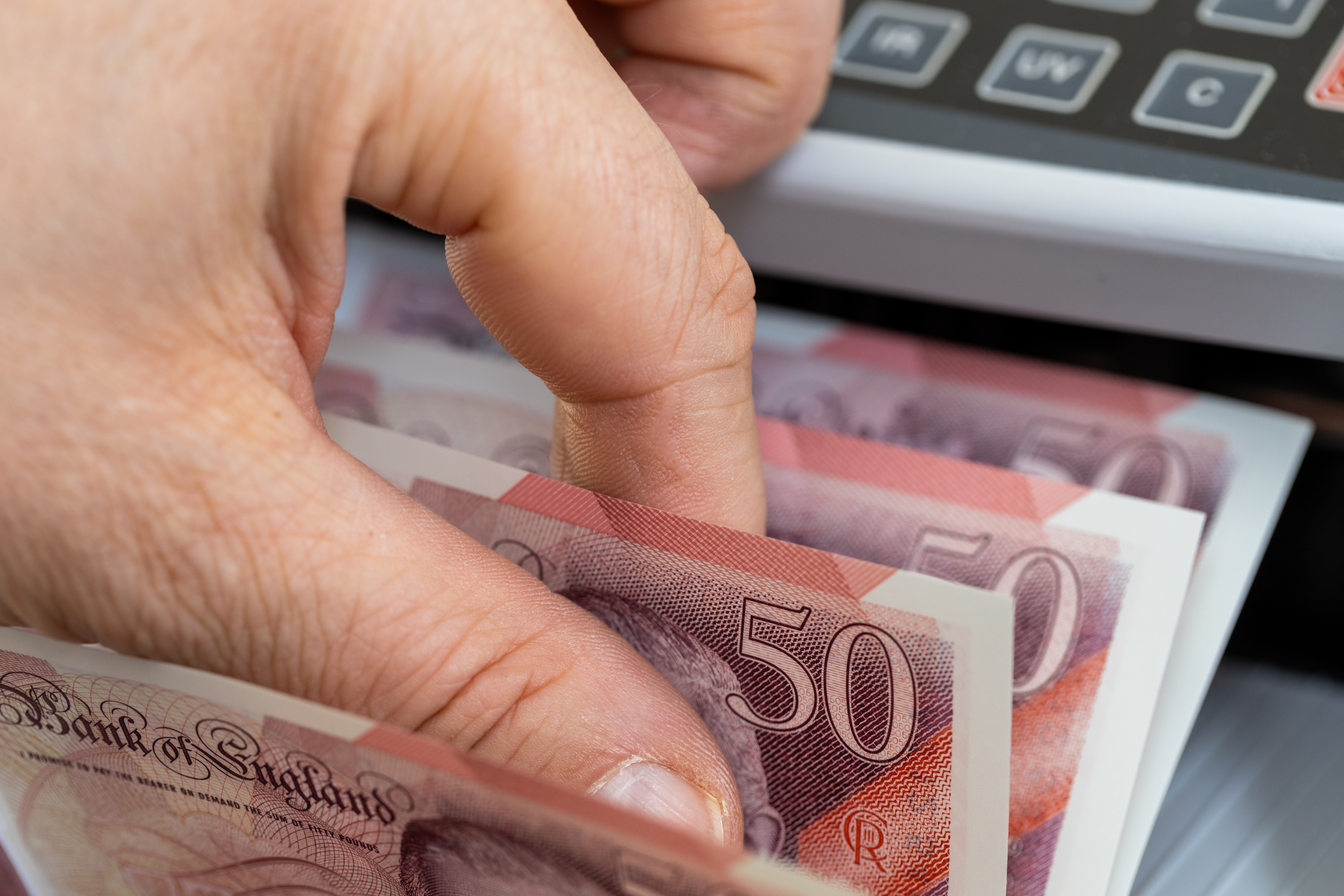 Animalele sălbatice vor lua locul personalităţilor istorice &icirc;n următoarea serie de bancnote britanice